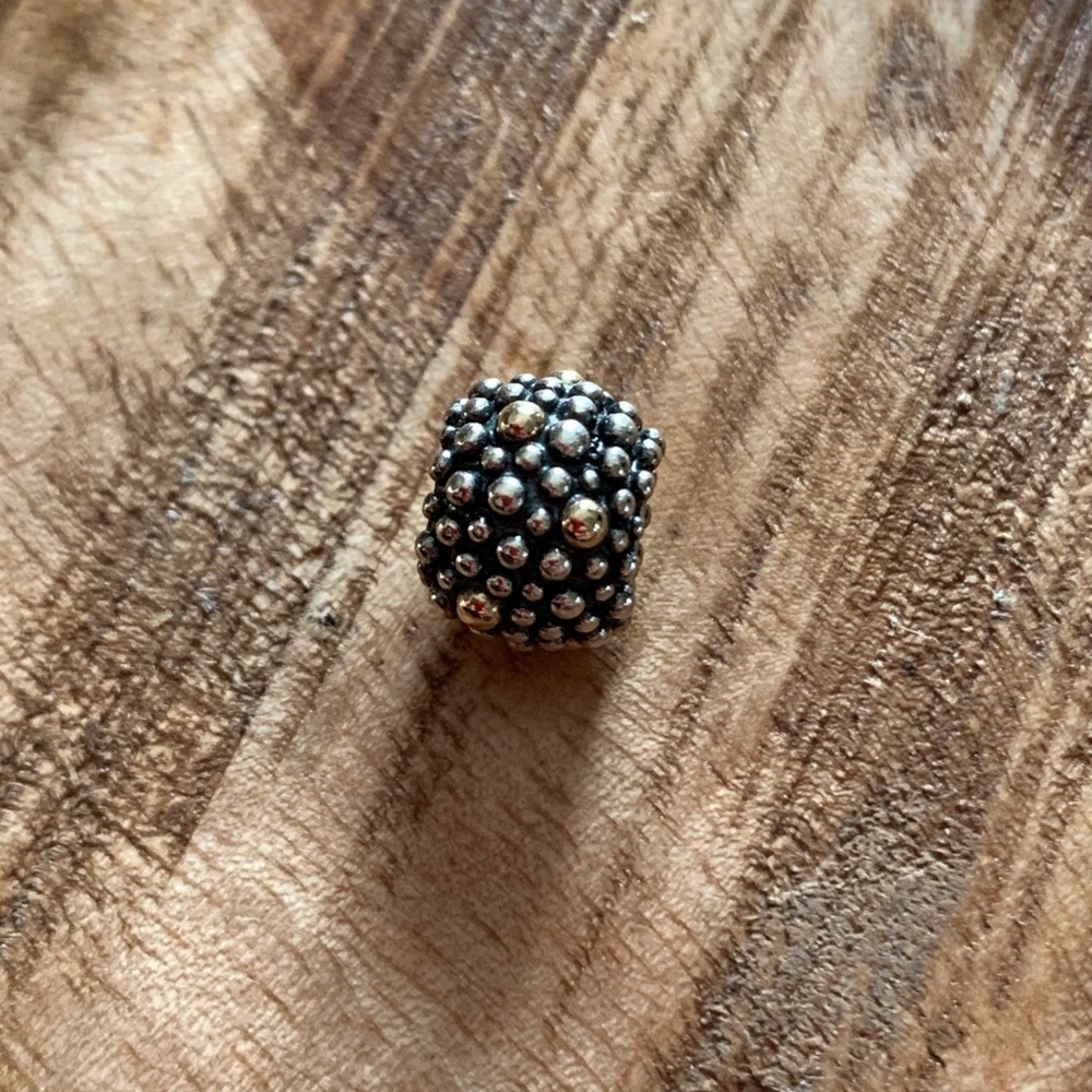 ✨ Pandora Silver/Gold Moss Charm ✨